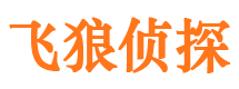 西平市私家侦探